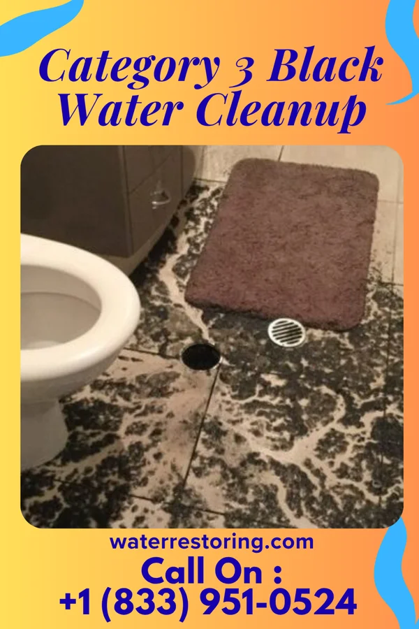 Category 3 Black Water Cleanup in Grandview, IN