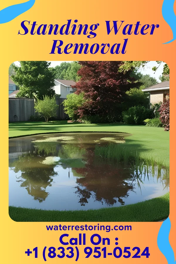 Standing Water Removal in Grandview, IN